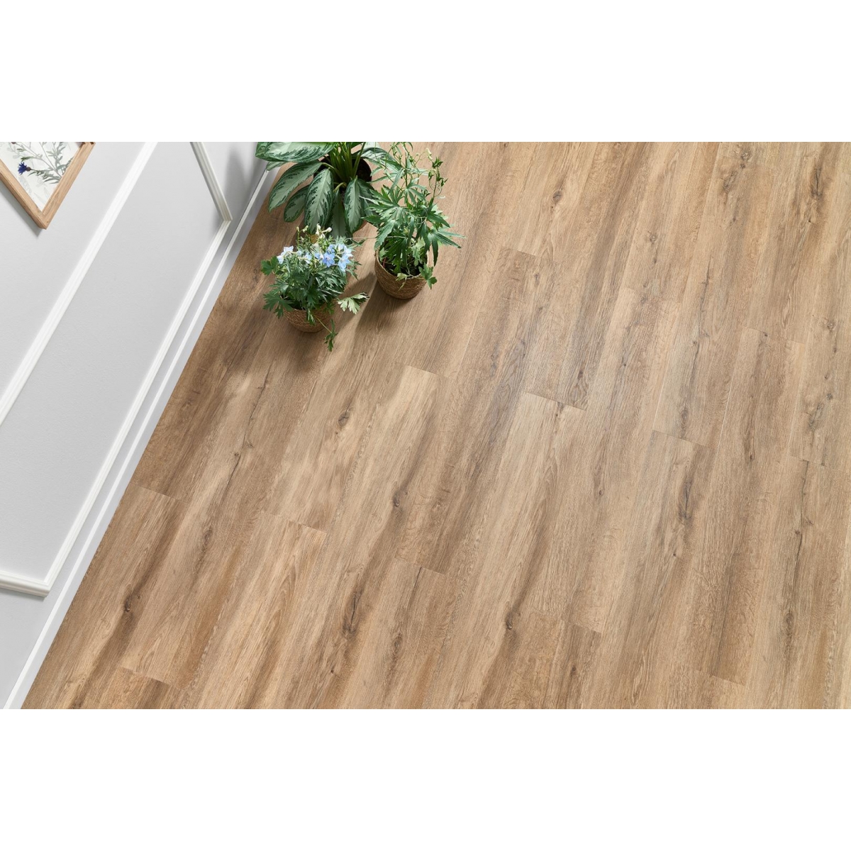 LVT SPC POD WOODRIC HRAST LAKEWOOD DW 186 2,5MM 0,55 KL.33