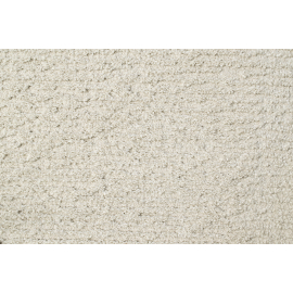 TEPIH RAGOLLE TRENTINO 160X230 41008-6161